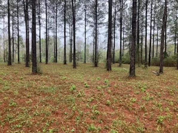 LOT 30 Harbor Rd, Andalusia, AL 36421
