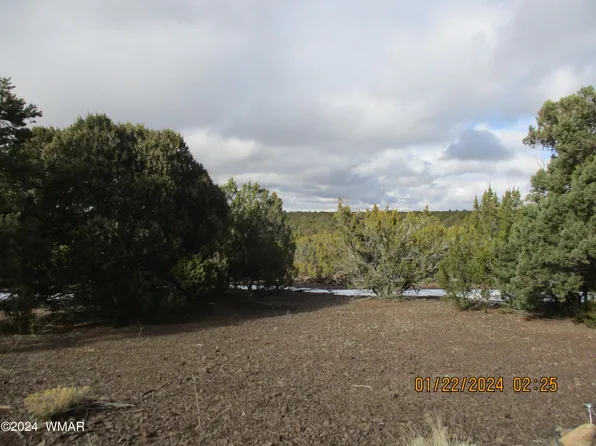 45 Cr, Vernon, AZ 85940