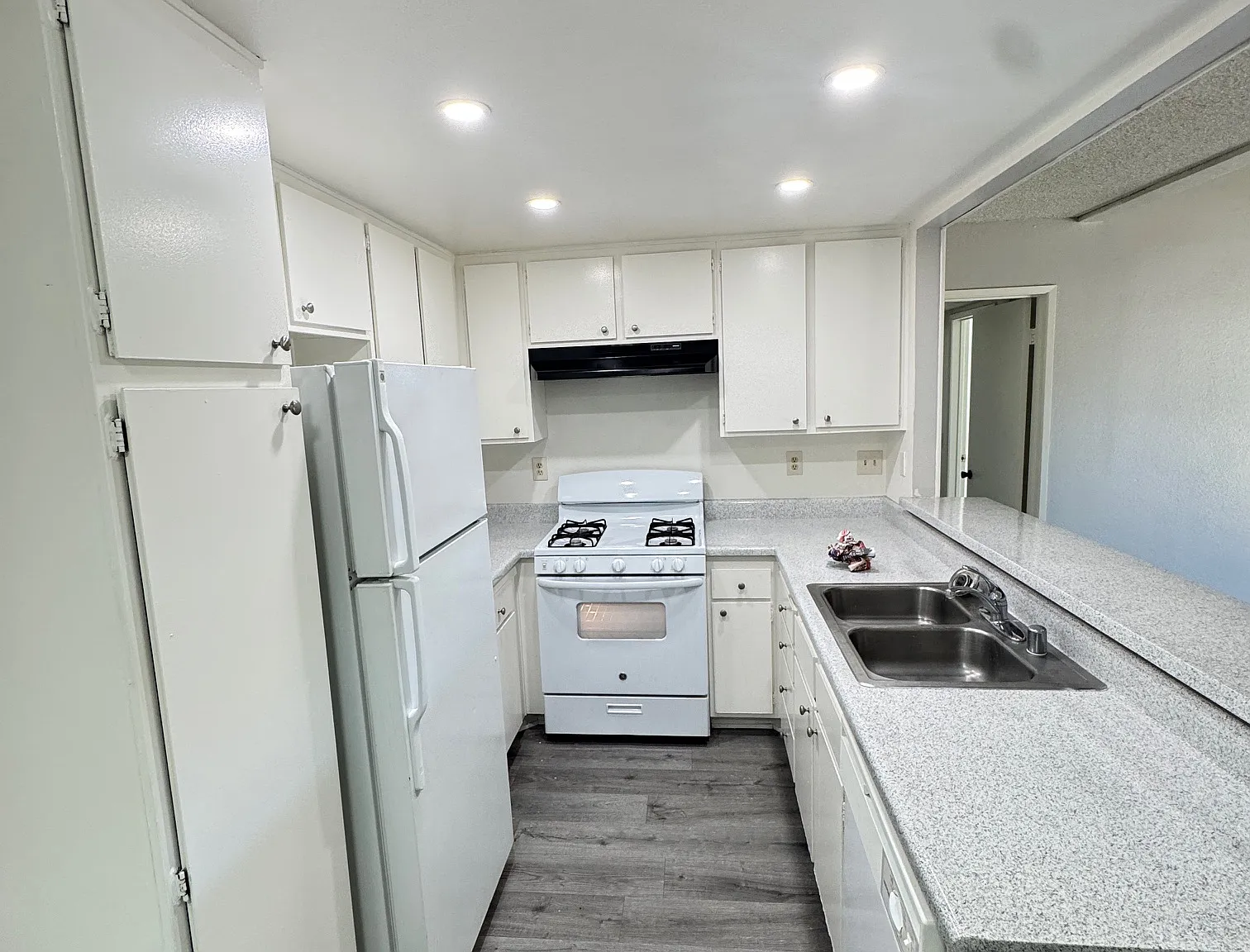 1 bed, 980 sqft, $2,450 — Photo 3
