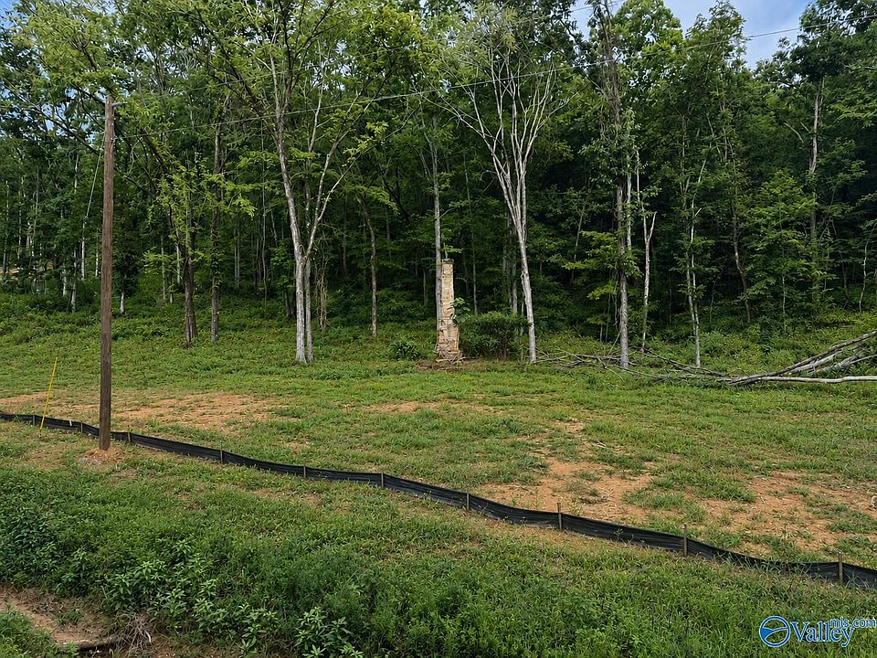 1st image of LOT 3 County Road 114