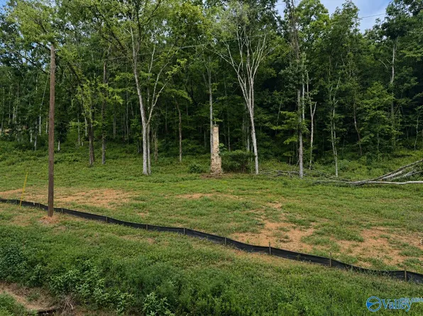 LOT 3 County Road 114, Scottsboro, AL 35769