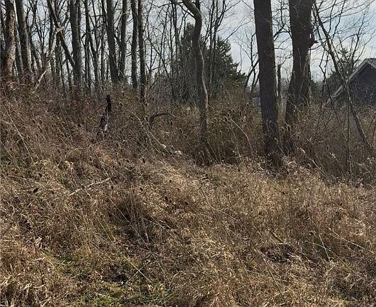 2nd image of 0 Charles St