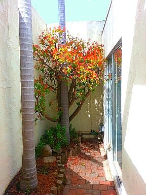 Private Entry Courtyard