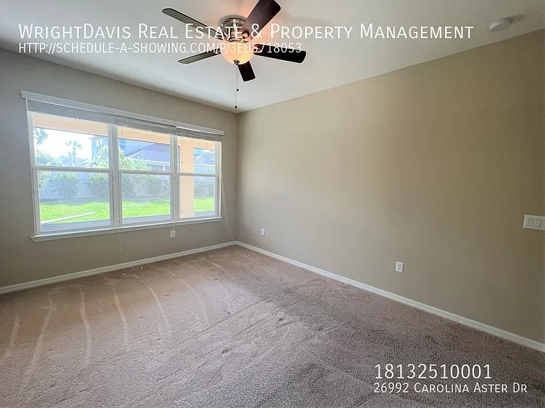26992 Carolina Aster Dr — Photo 22
