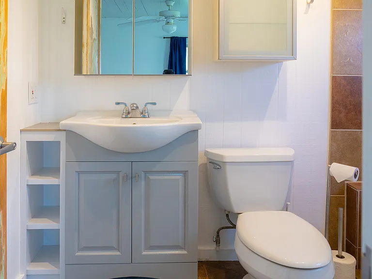 Ensuite Bathroom to Primary Bedroom