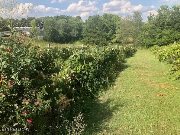 Sweetwater Vonore Rd, Sweetwater, TN 37874