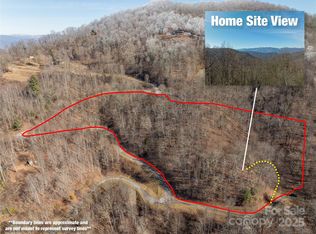 64 Grizzly Rdg, Bryson City, NC 28713