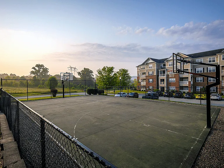 Full-Size Basketball Court