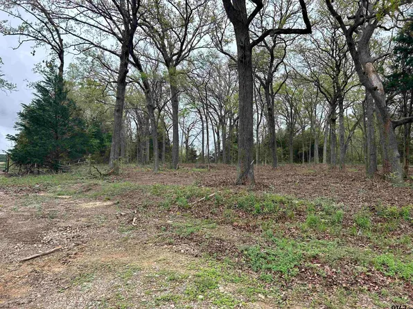 2 County Road 2138, Troup, TX 75789