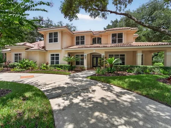 15707 Cochester Rd, Tampa, FL 33647