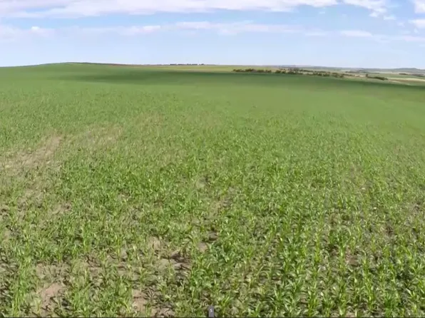 257th St, Winner, SD 57580