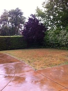5th image of 19 Lakeside Dr
