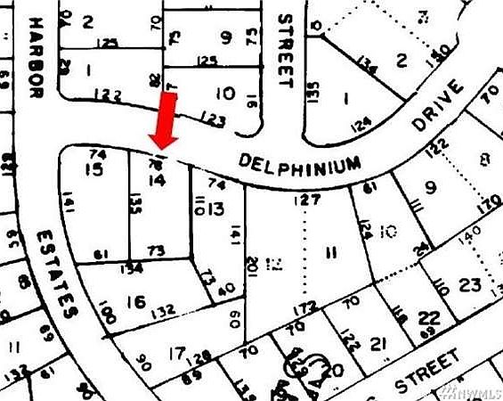 1st image of Delphinium Dr