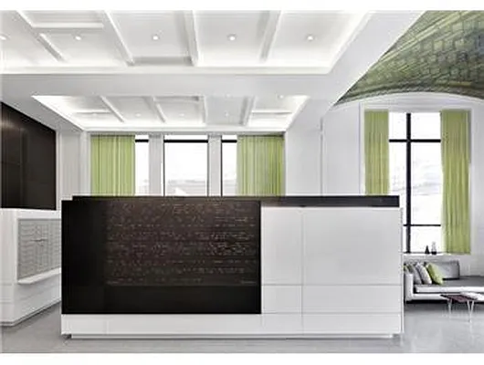 Rented by Douglas Elliman | media 18