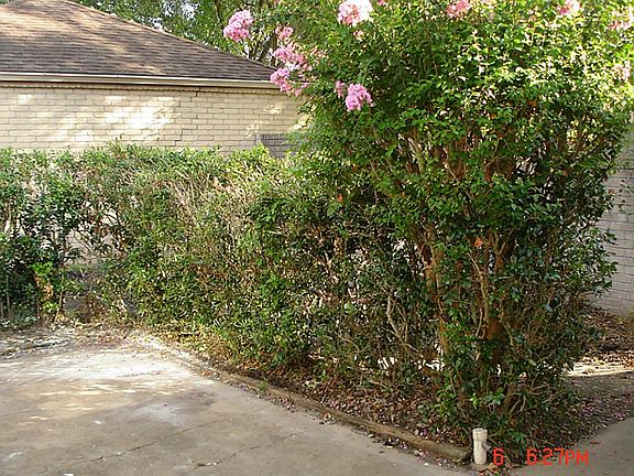 3rd image of 4123 Knoll Glen Dr