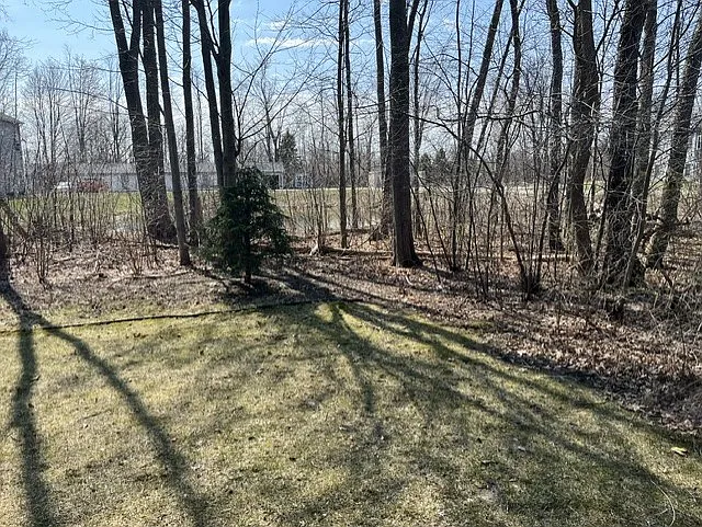 11902 Seven Pine Dr — Photo 5