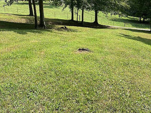 4th image of 1249 Creek Bend Dr