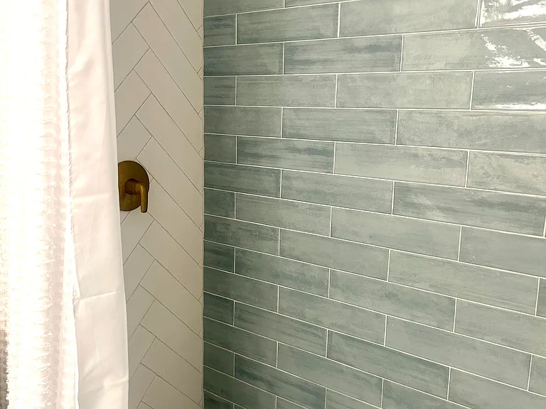 Master Bath Walk-in Shower