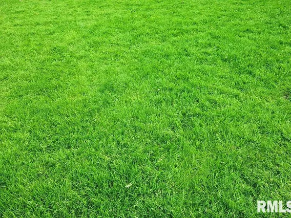 LOT 151 Rustic Oak Lot 151, Washington, IL 61571