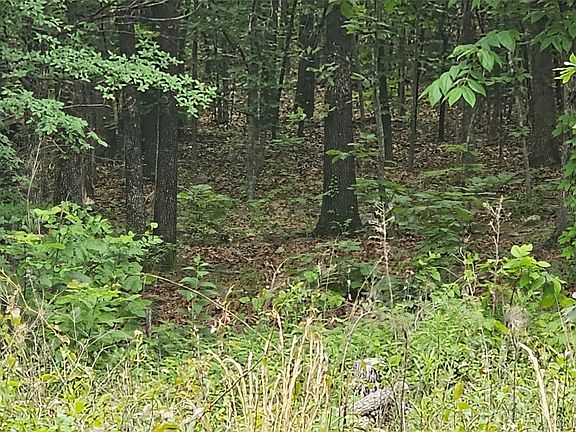 5th image of 0 S 4630th Rd