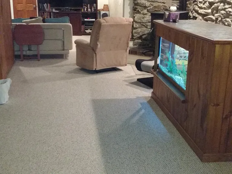 Fishtank and bar not included :)