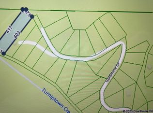 597 Goldmine Dr, Ellijay, GA 30536