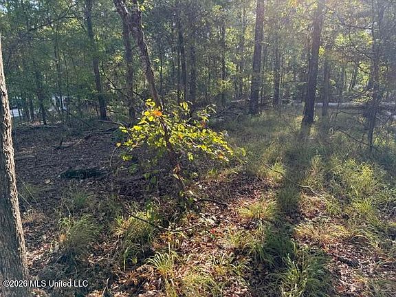 2nd image of Old Fannin Rd