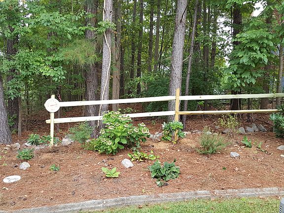 Wooded backyard