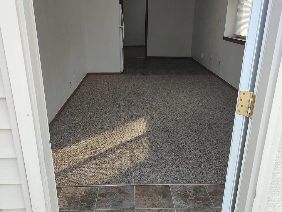 Entryway & living area