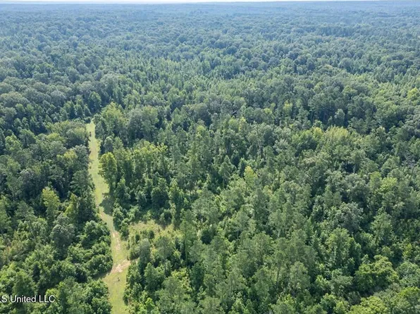 2199 Old Port Gibson Rd, Utica, MS 39175