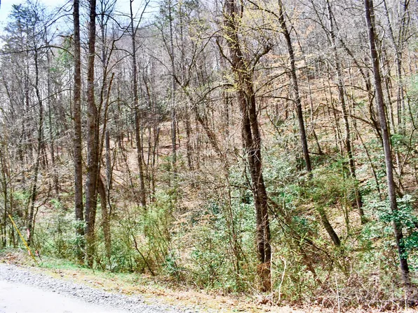 0 Ebenezer Rd, Old Fort, NC 28762