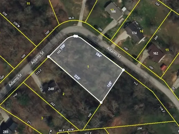 0 Adams St, Spring City, TN 37381