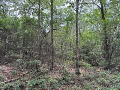 Na New Home Rd, Magnolia, MS, 39652