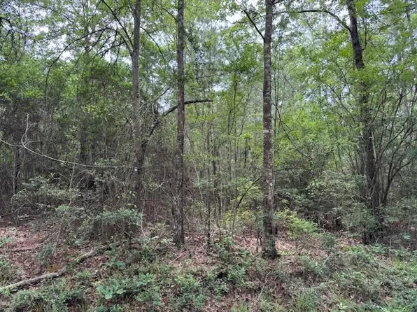 Na New Home Rd, Magnolia, MS 39652