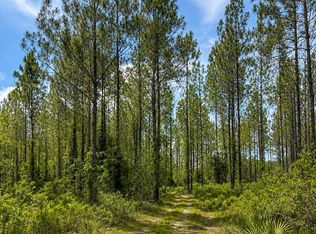 Tullie Beach Rd #2001AC, Lulu, FL 32061