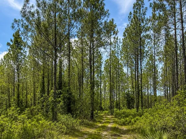 Tullie Beach Rd #2001AC, Lulu, FL 32061