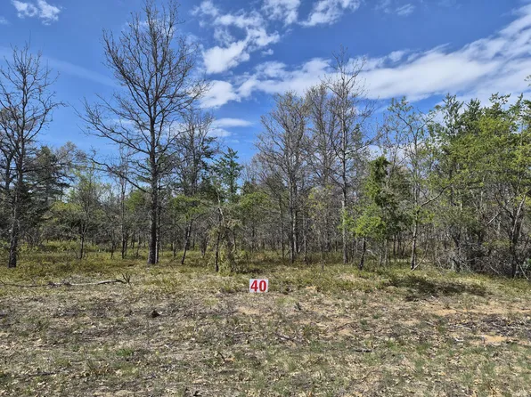 LOT 40 Northwood Dr, Grayling, MI 49738