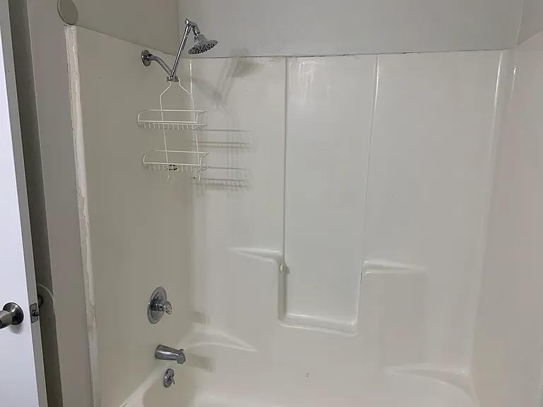 hall bath shower