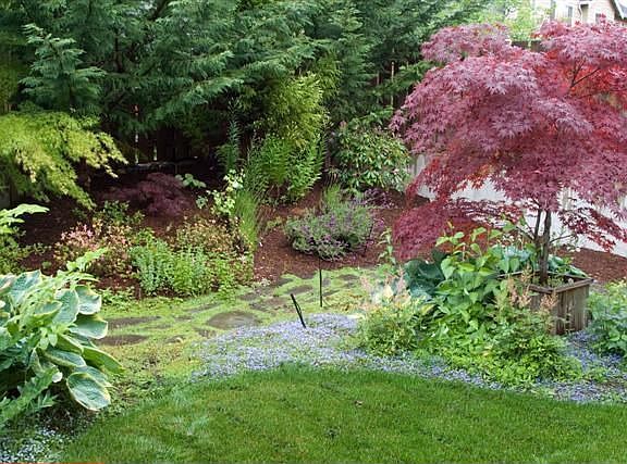 Back yard