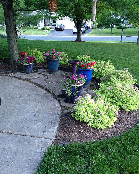 Front yard