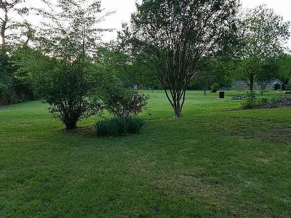 View of Large Back Yard