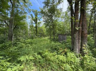 County Road 95, Laporte, MN 56461