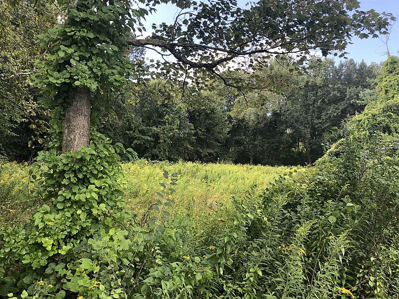 4th image of 29 COLE Lane