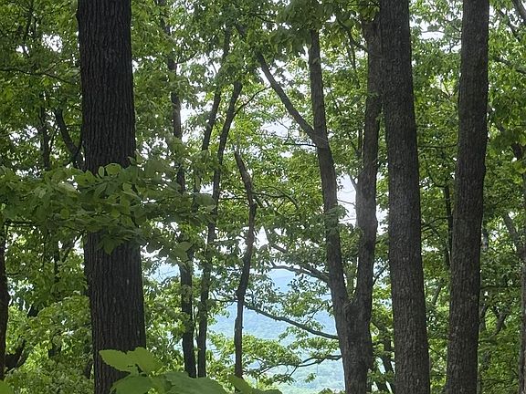 3rd image of 38 Mountainside Ct