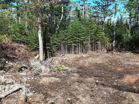 5th image of 72 Shortcut Rd