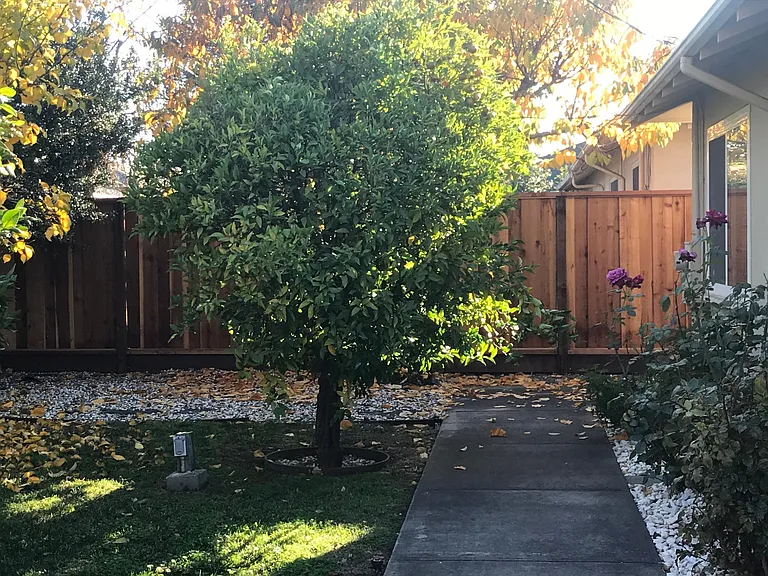 426 Ositos Ave — Photo 17