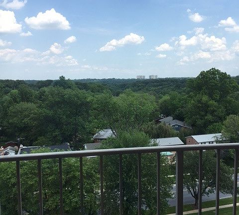 Beautiful View