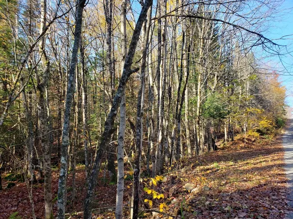 Lot 66-1 Ramsdell Ridge Road, Milo, ME 04463