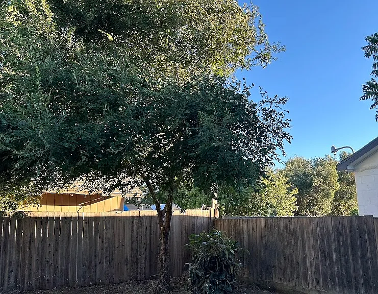 145 Poinsettia Ave — Photo 7