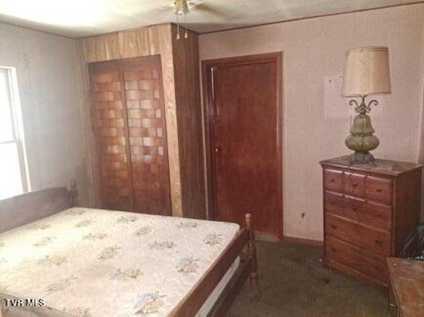 417 Bear Branch Rd, Roan Mountain, TN 37687